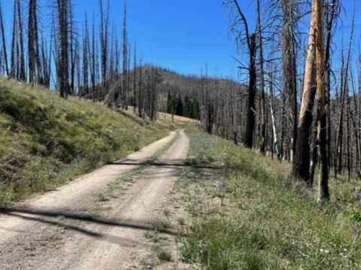 Oregon Gulch to Fox Peak photo 6