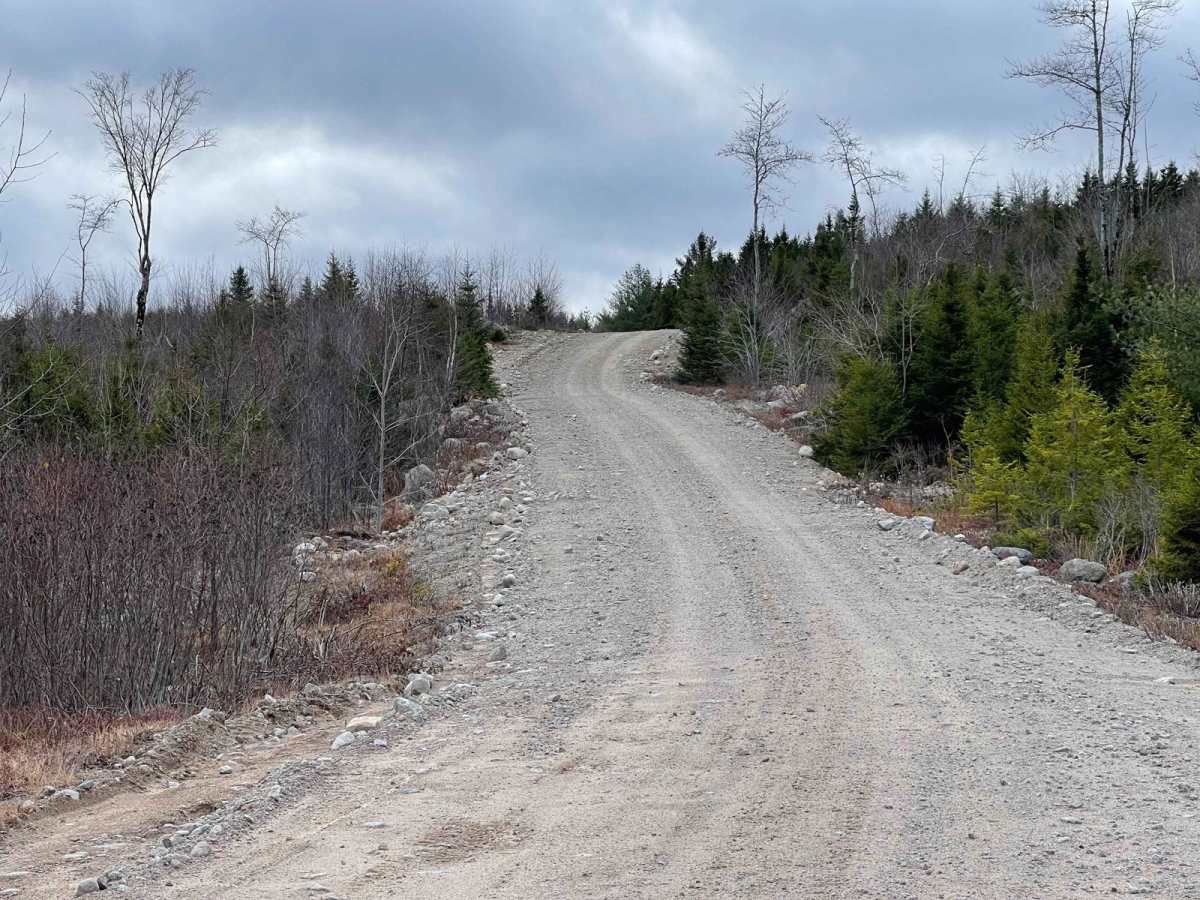 Ingramport Connector trail photo