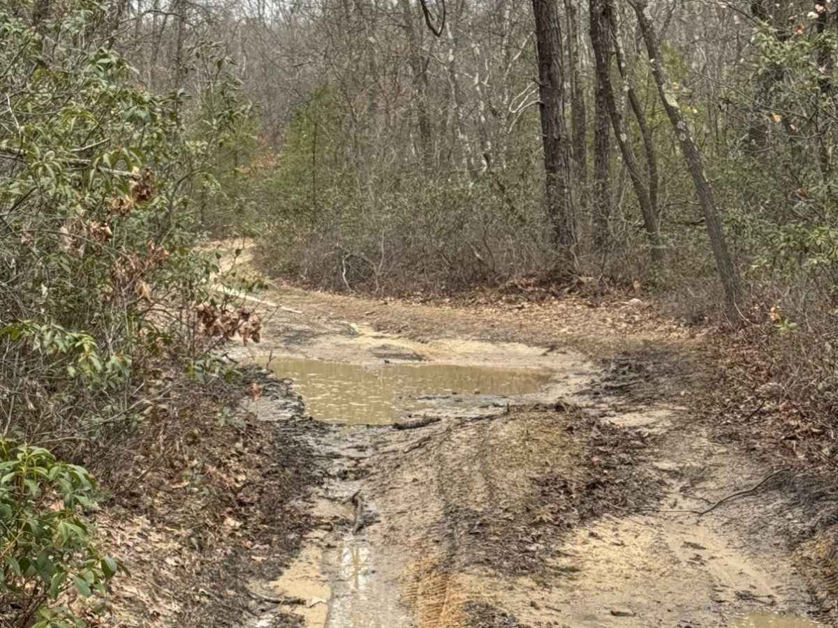 Wolf Run Supply Trail photo 6