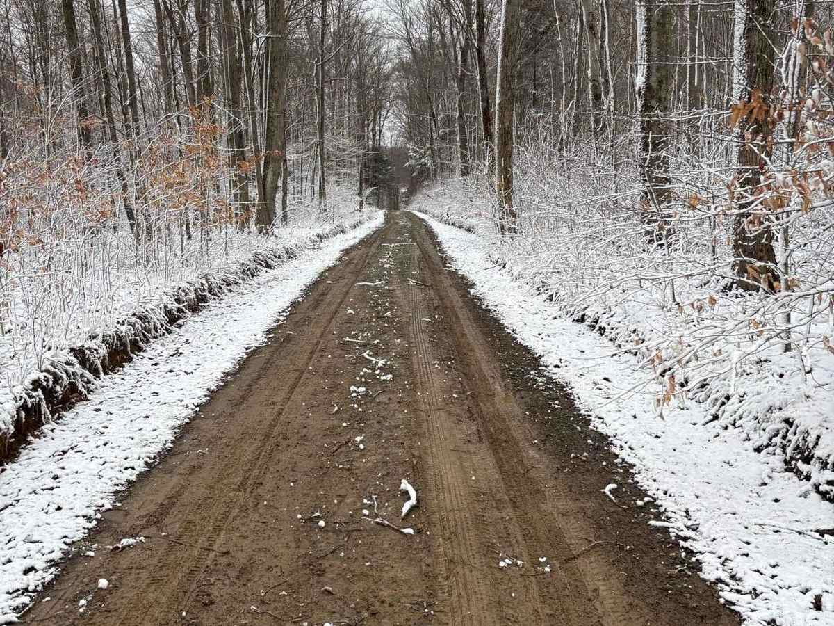 Reeves Road photo 4