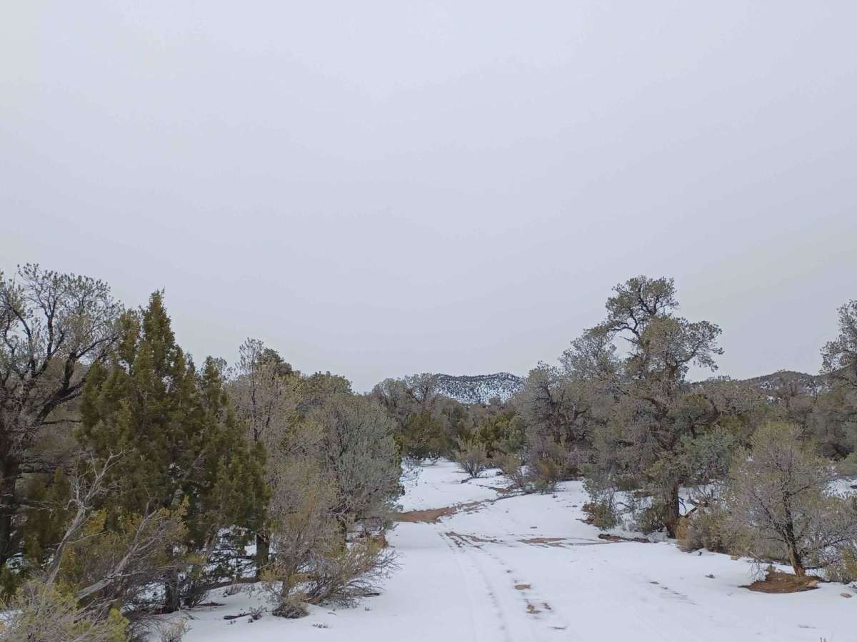 Penoyer Spring Road photo 5