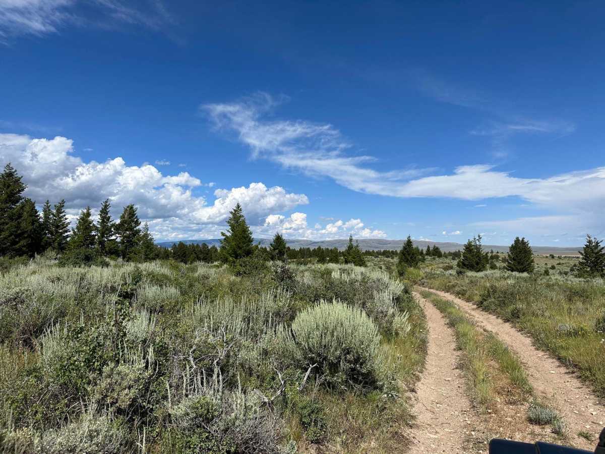 Fossil Butte BLM Trail photo 2