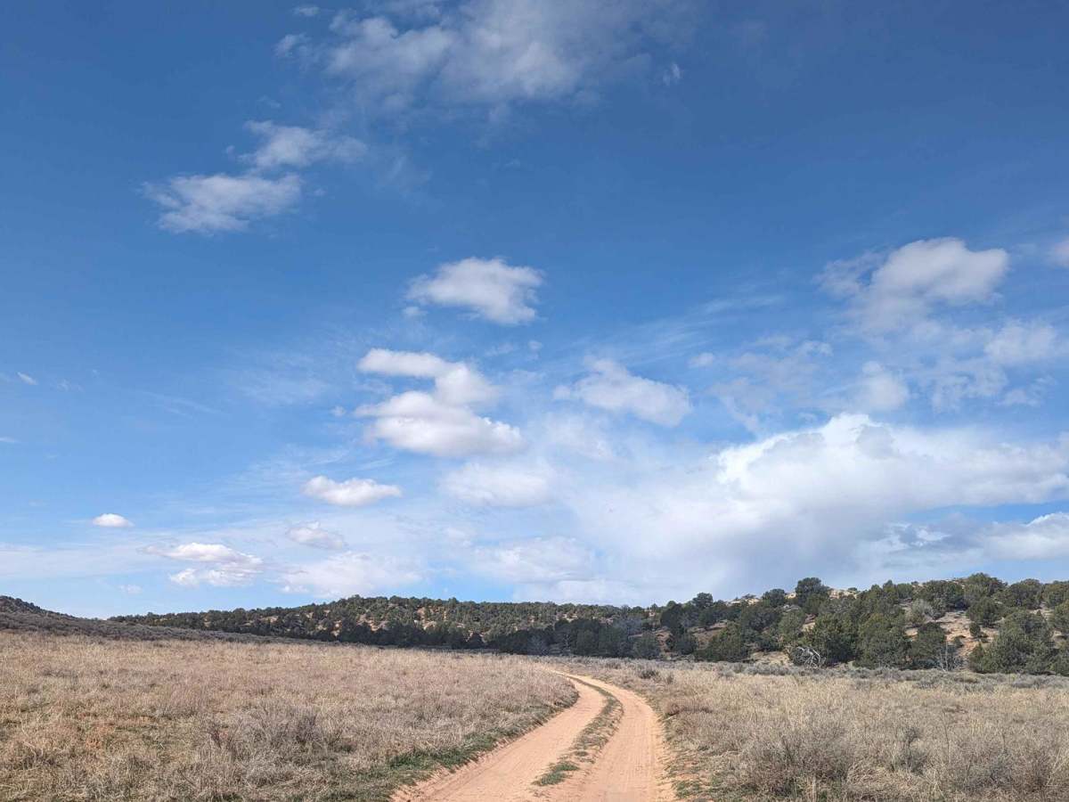 BLM 558/Inchworm trail photo