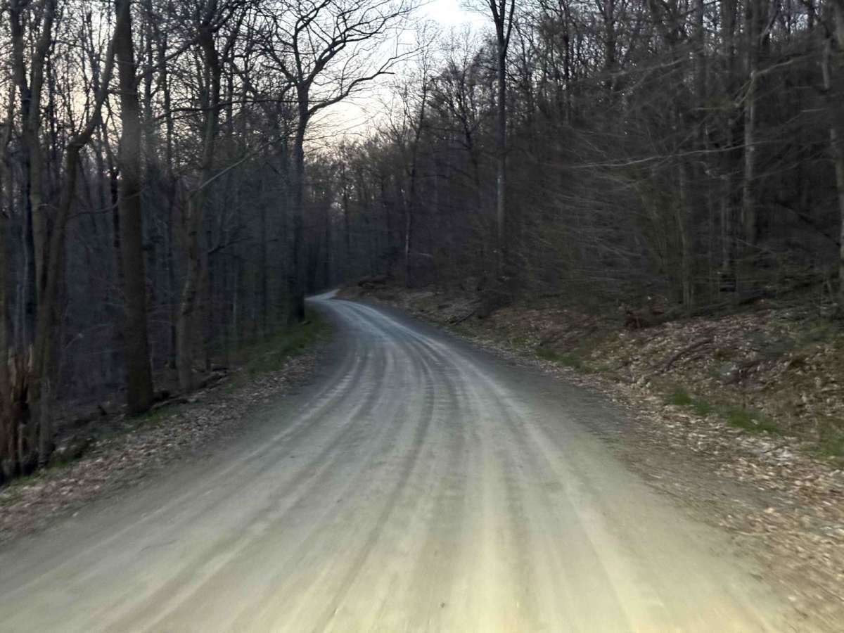 Camp Road photo 2