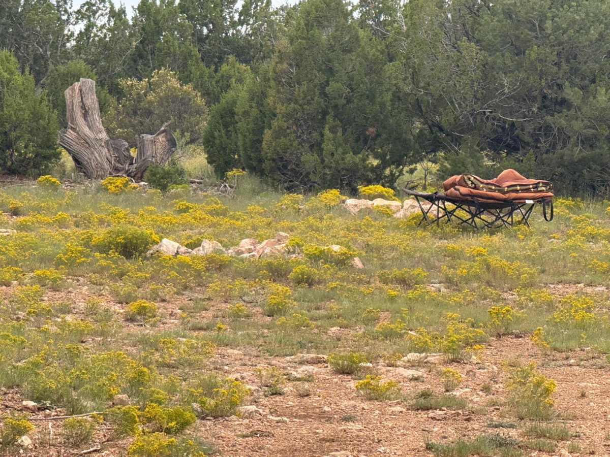 9423H Trail photo 3