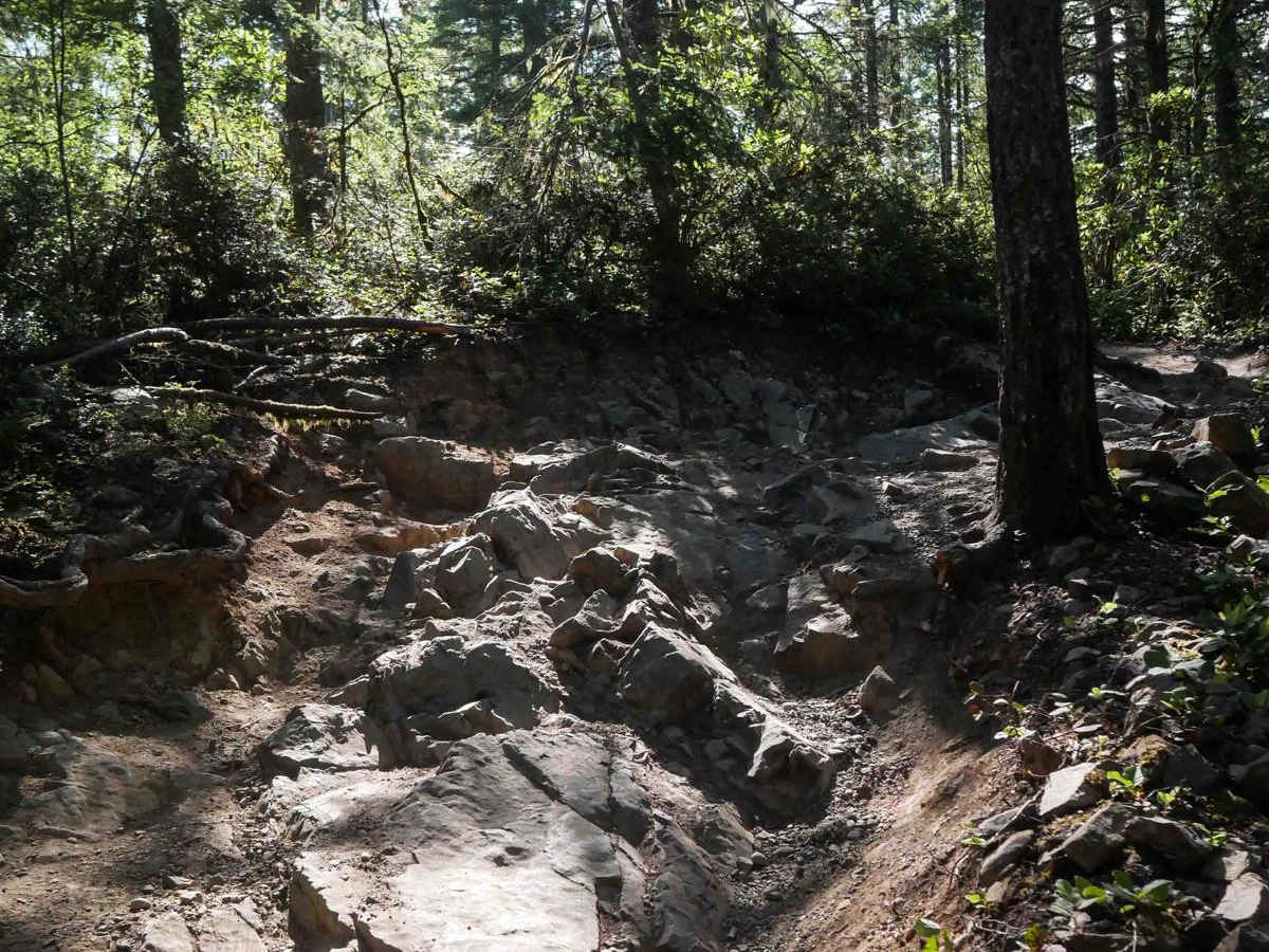 Vista trail photo