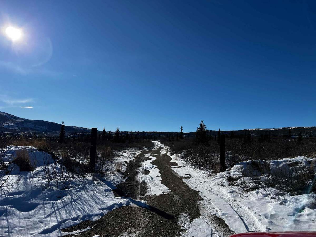 Jarvis Creek Loop photo 4