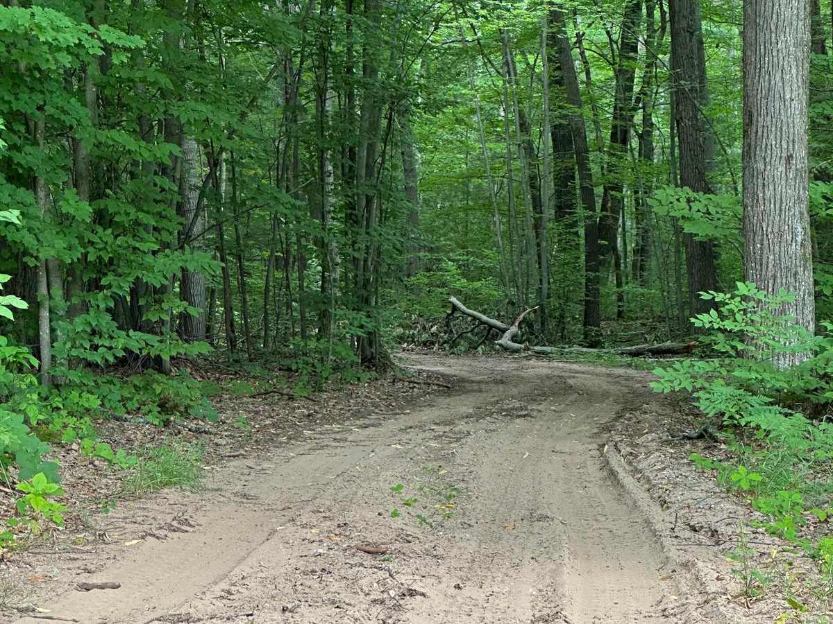 Turtle Lake Trail photo 5