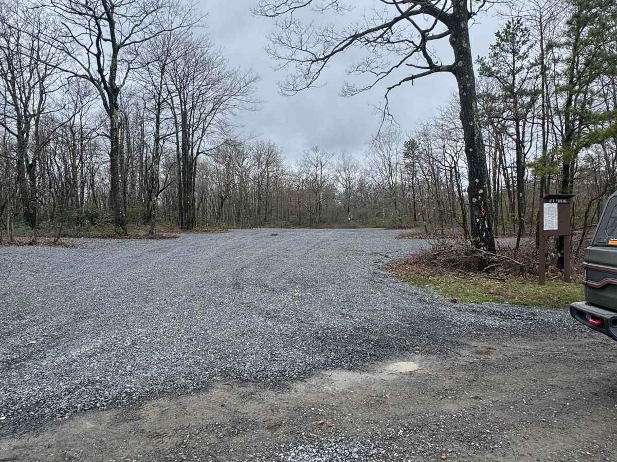 Dehaas Road photo 4