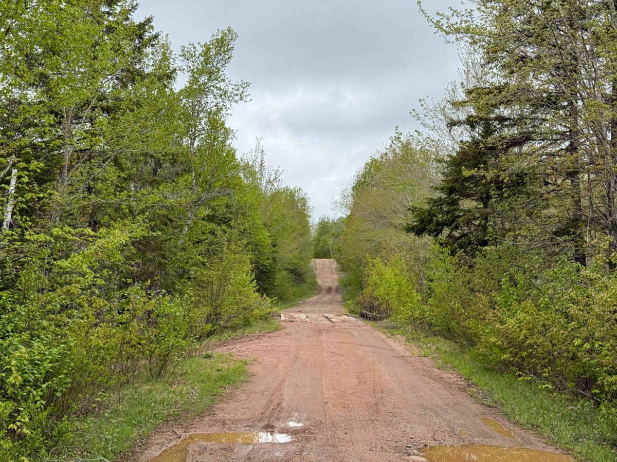 Butler Road photo 3