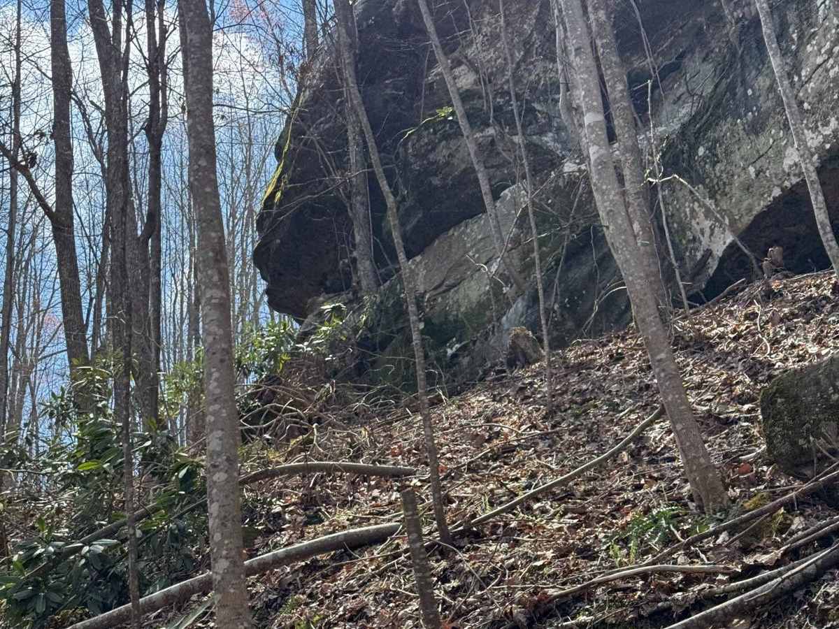 Trail 24 photo 4