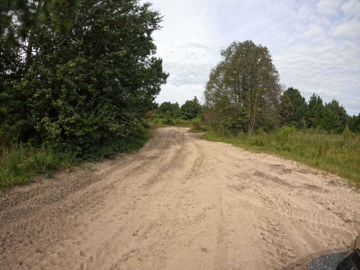Shelby Drive photo 3