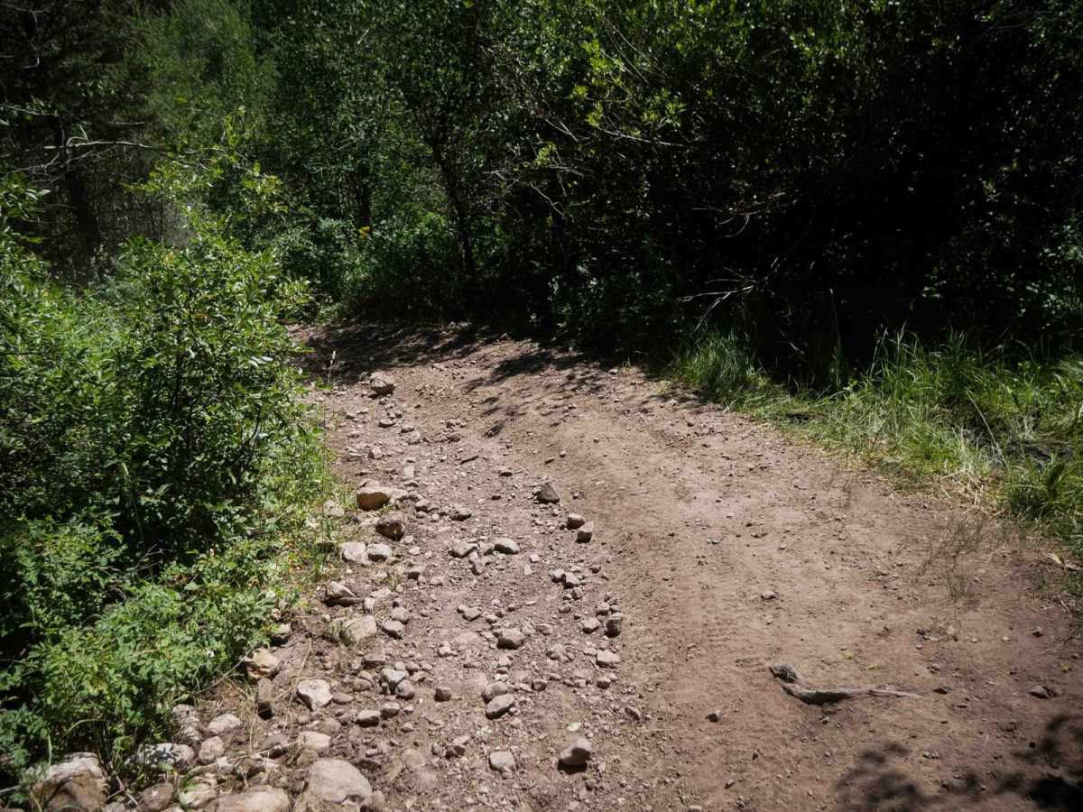 Bailey Ridge #3118  photo 2