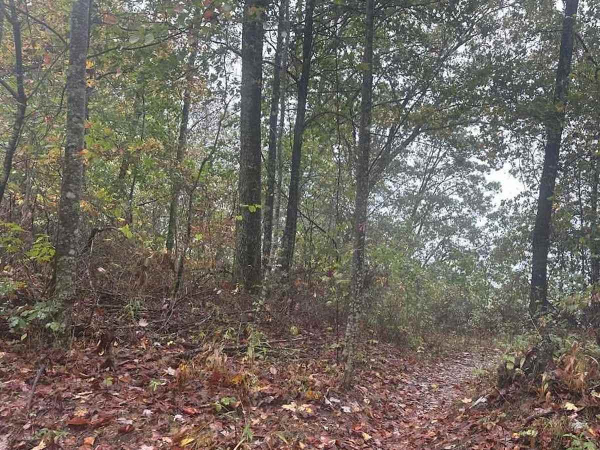 177 Single Track photo 2