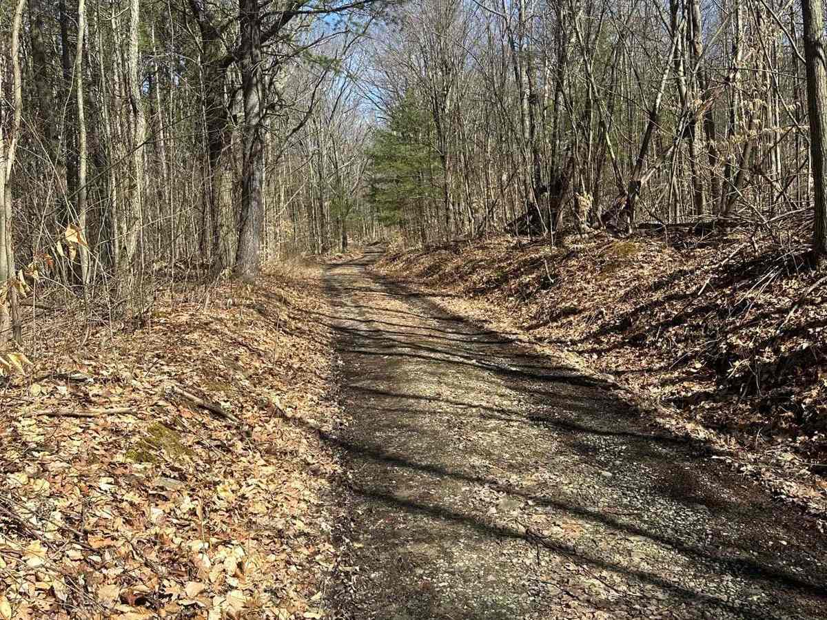 Van Husen Road photo 3