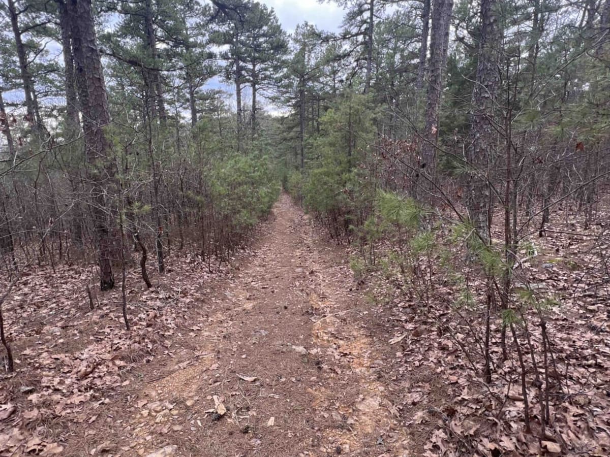 Bear Creek Mountain Road 773 photo 3