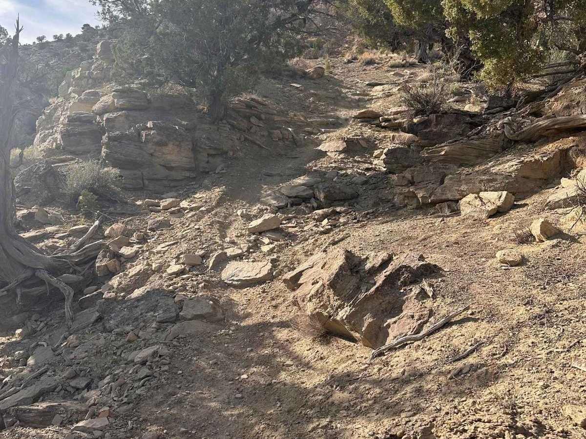 Loop 3 photo 2
