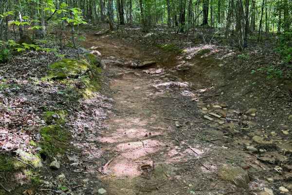 Hill 5