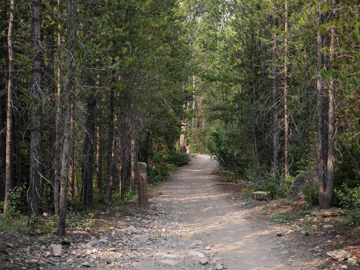 Corrals ATV Trail photo 4