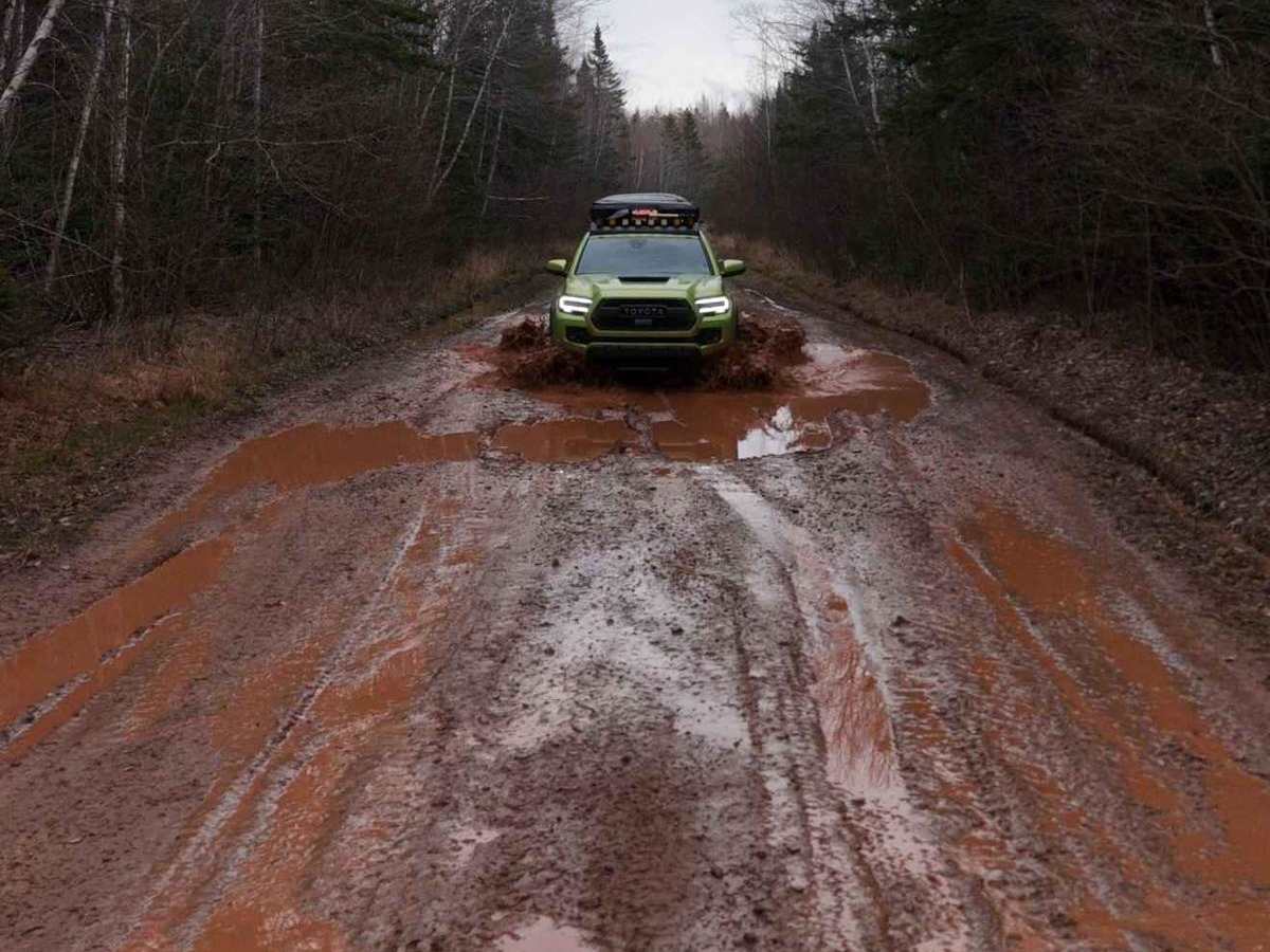 Mosher Road trail photo