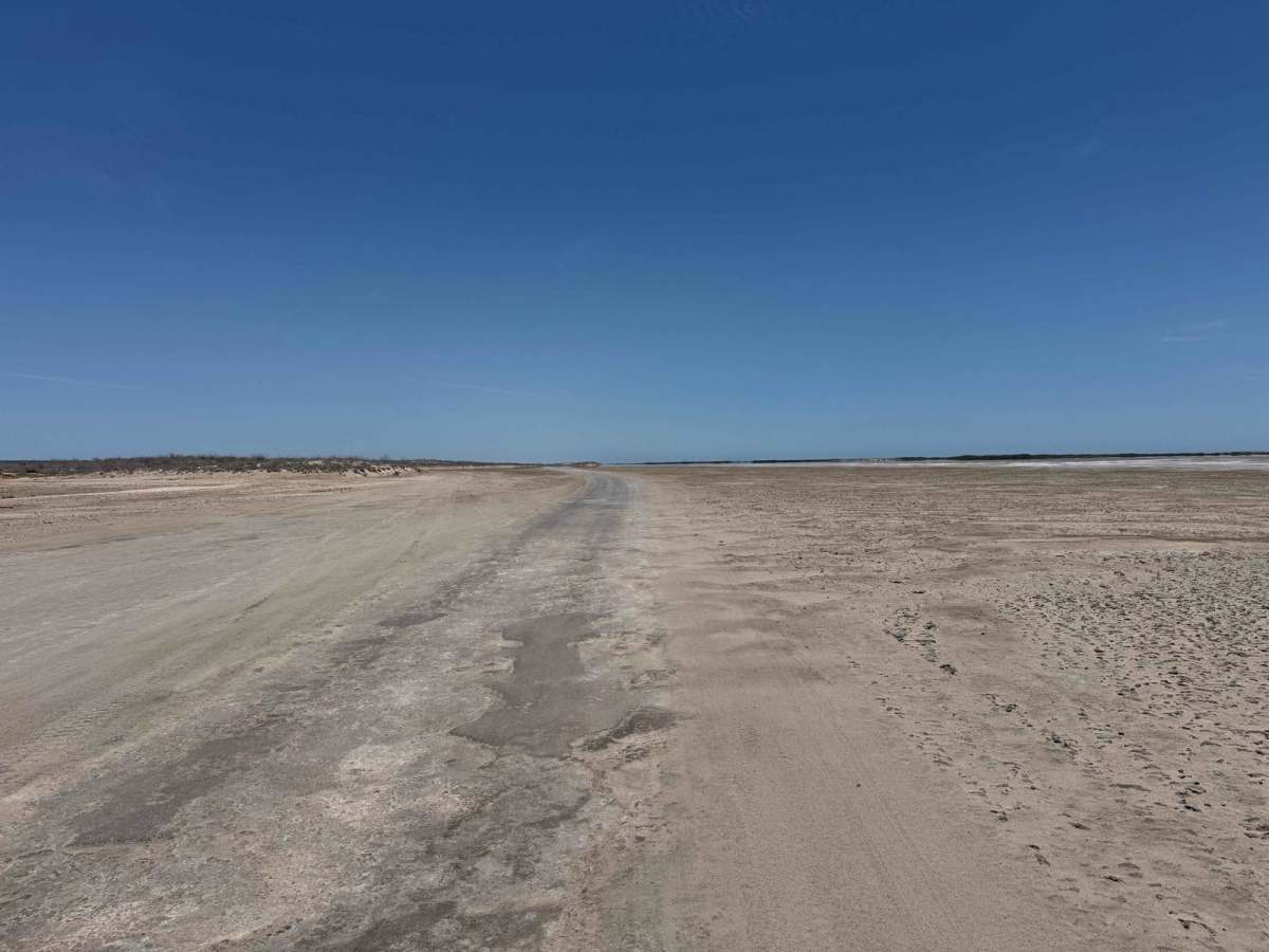 Salt Flats Datil photo 3