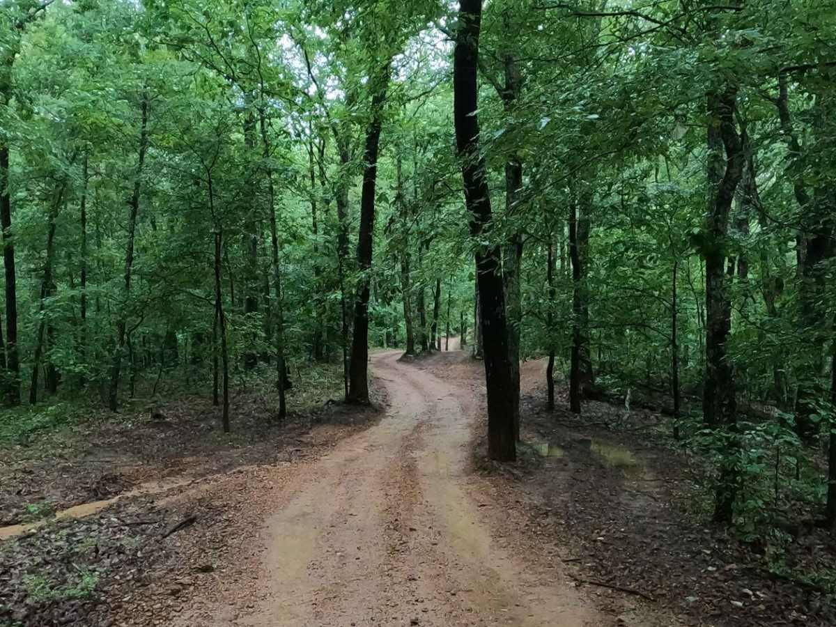 D to E Road photo 5