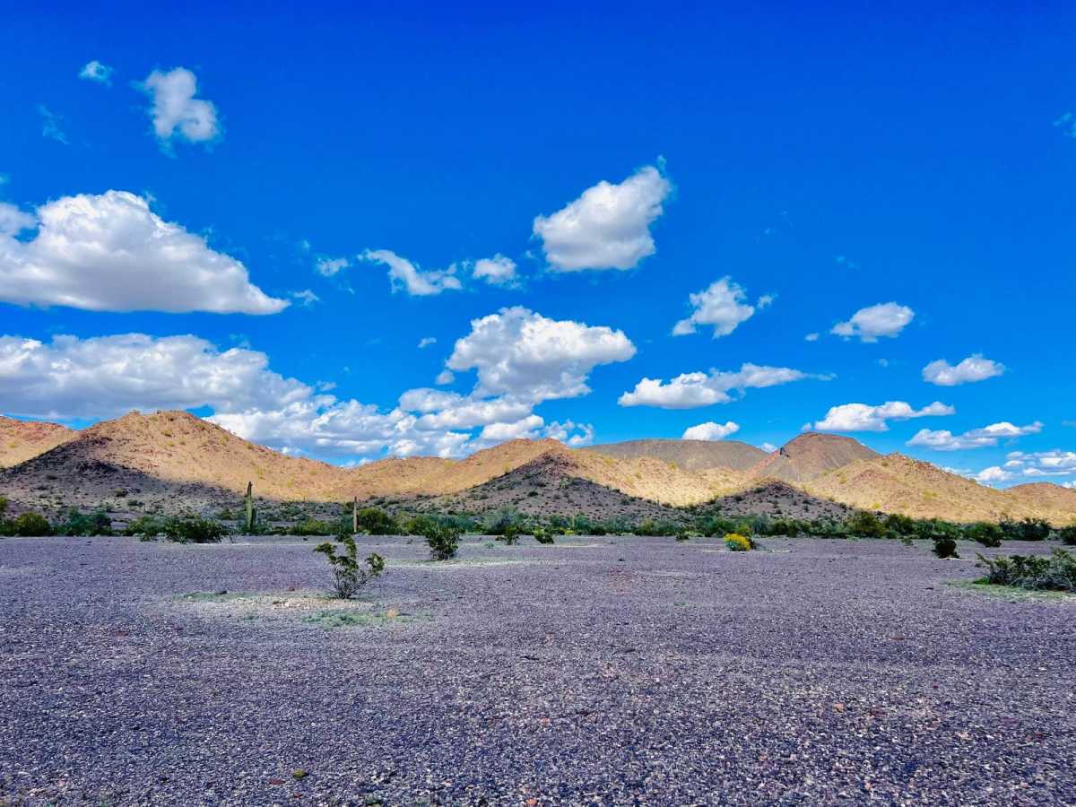 Mineral Mine Trail photo 3