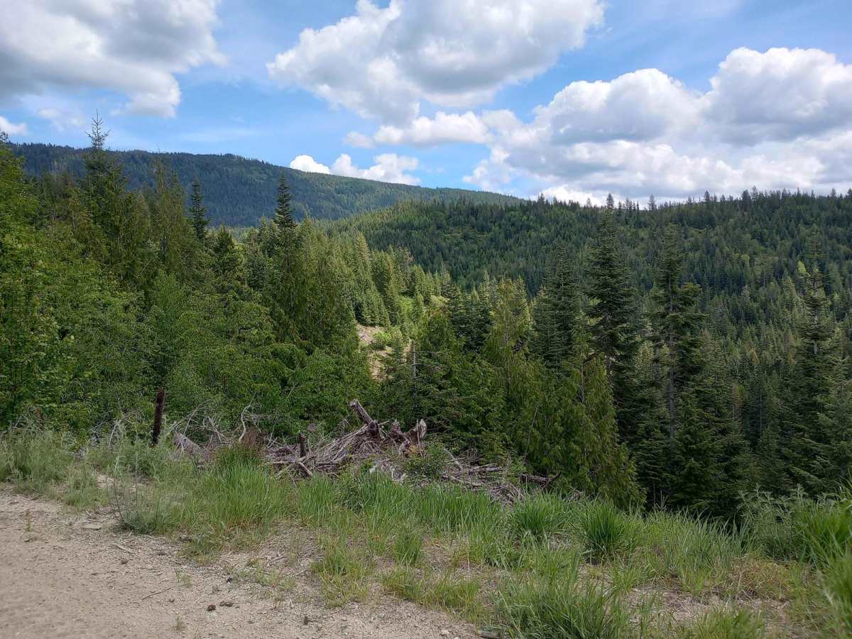 Thompson Creek photo 5