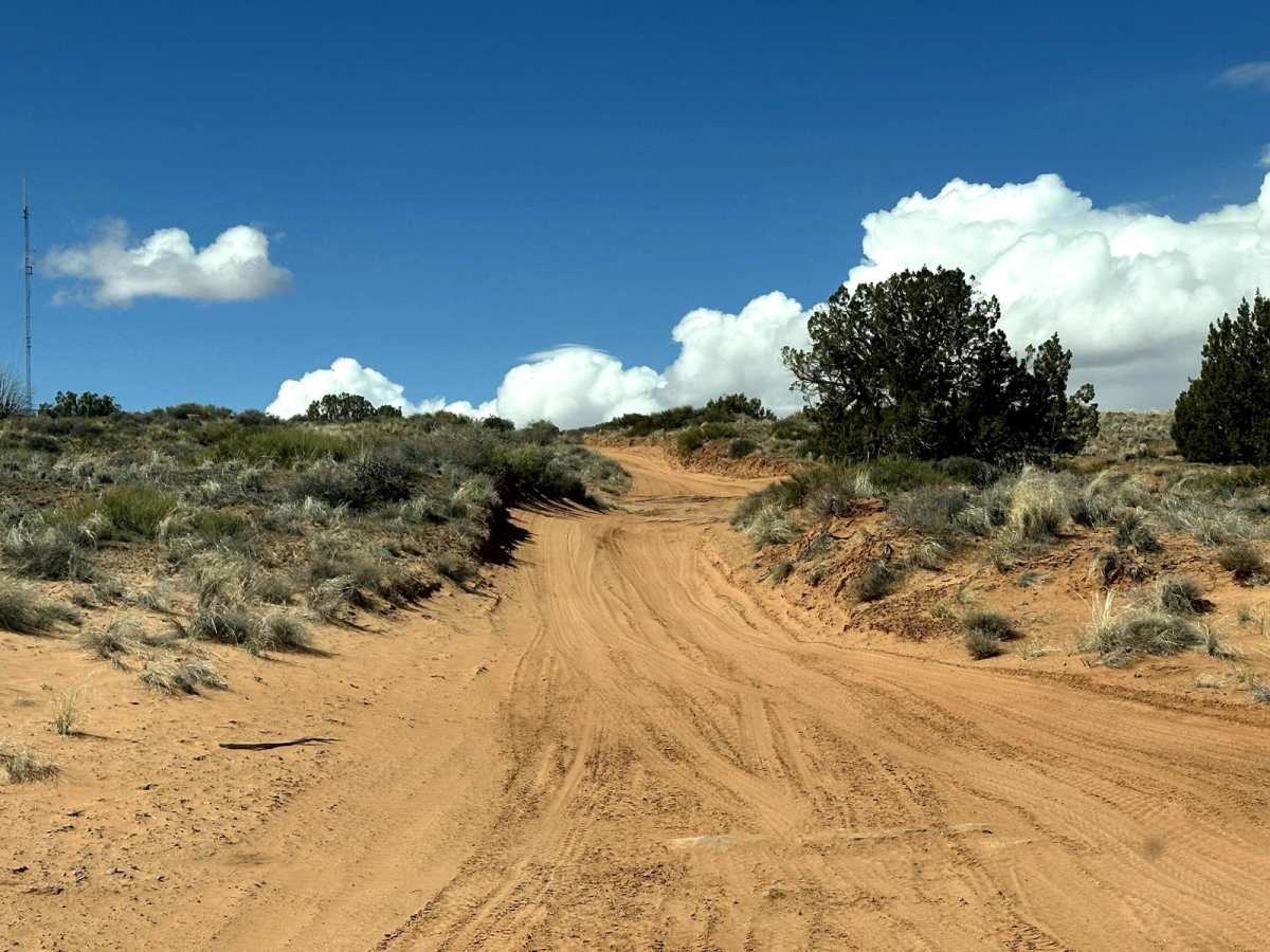 Fins & Things Cutoff trail photo