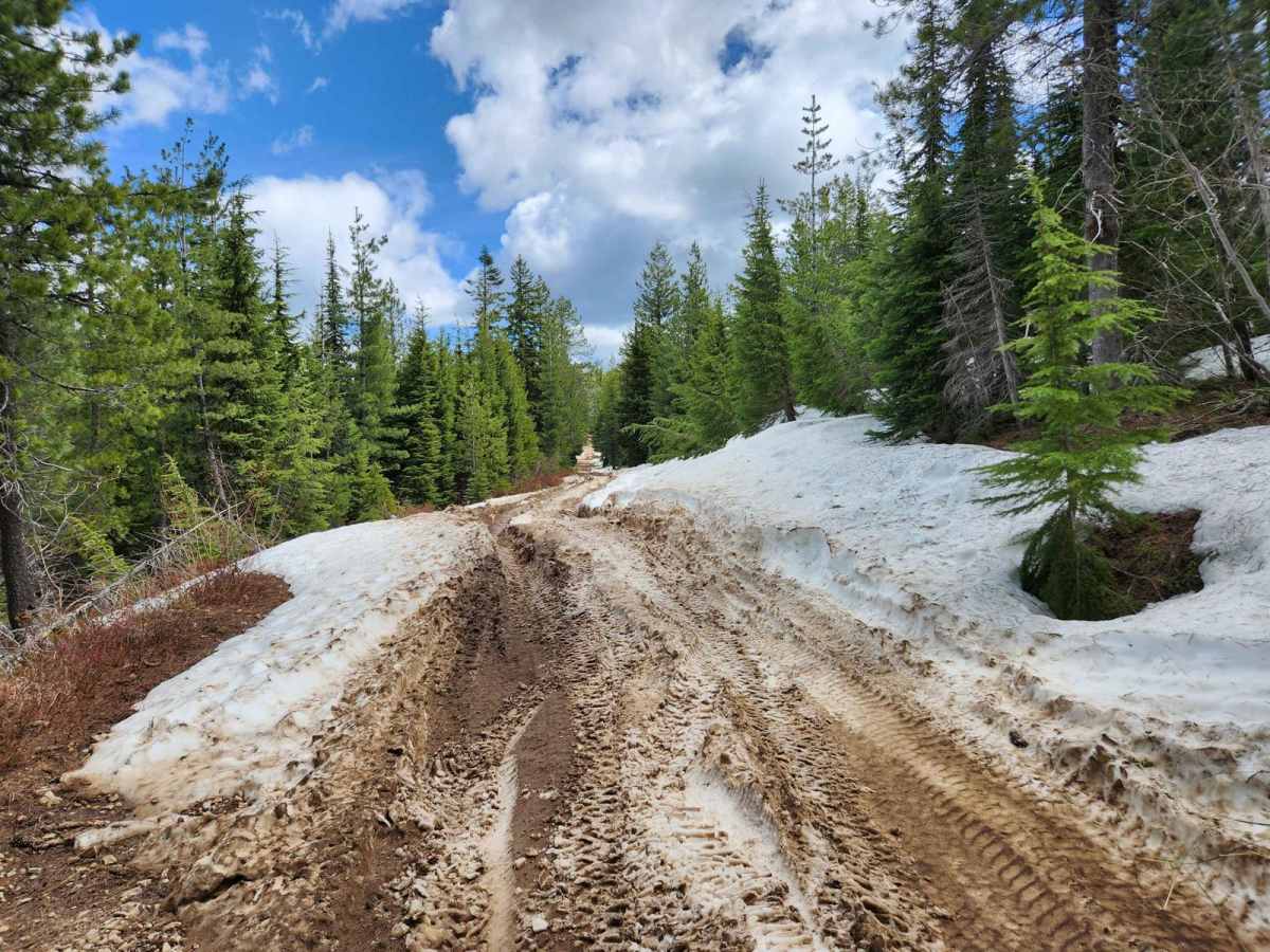 Bloom Peak Trail photo 4
