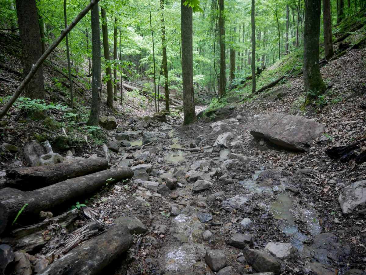 Puke Creek photo 6