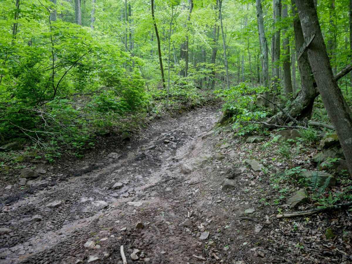 Trail 12 photo 5