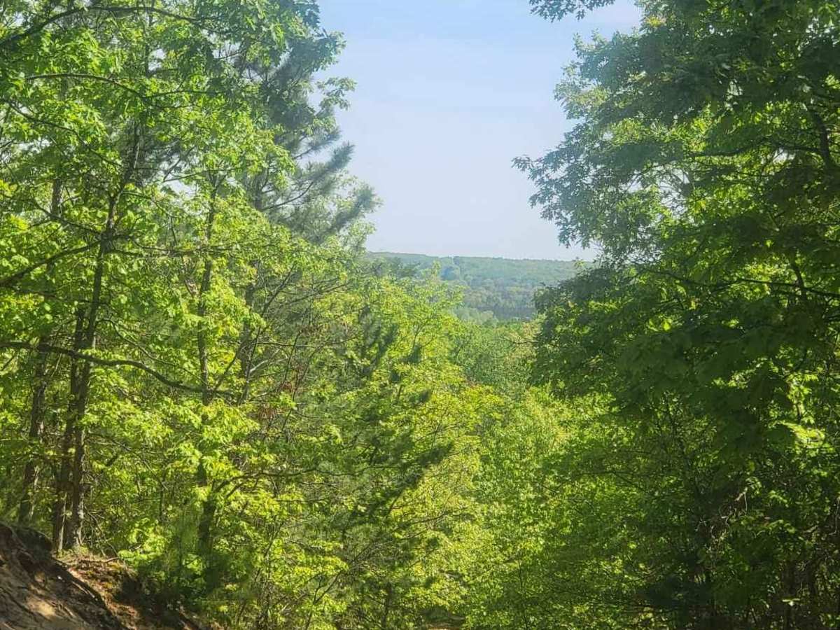 Ogemaw Hills ORV Route photo 2