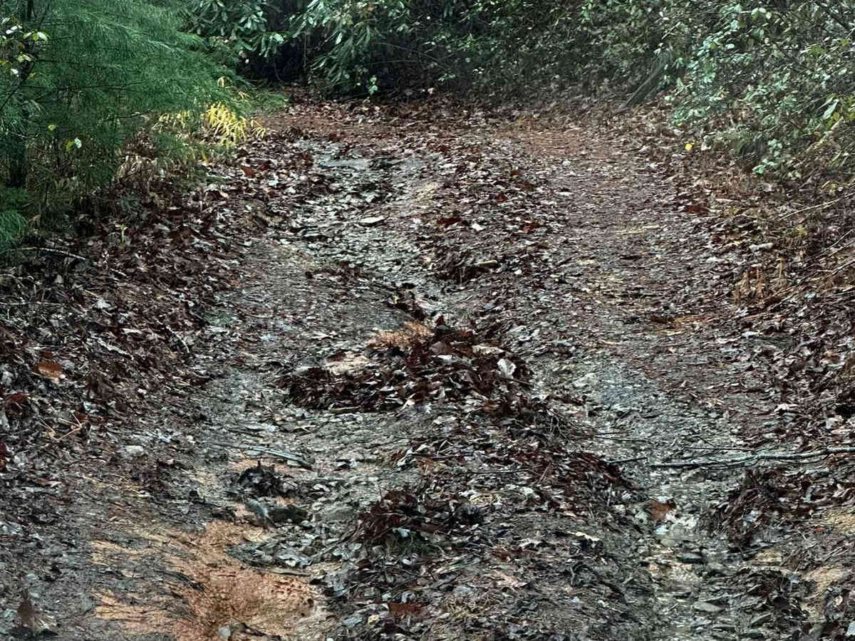 Falls Branch Road - FSR 2 photo 4