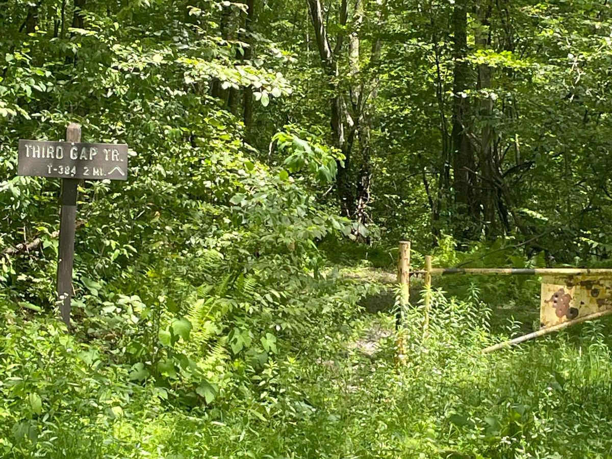 Fourth Gap Road photo 3