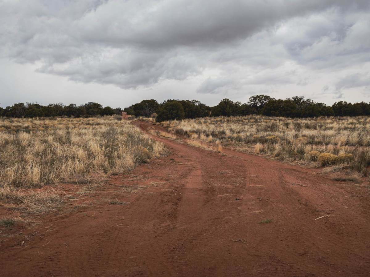 D's Workaround (D1228) trail photo