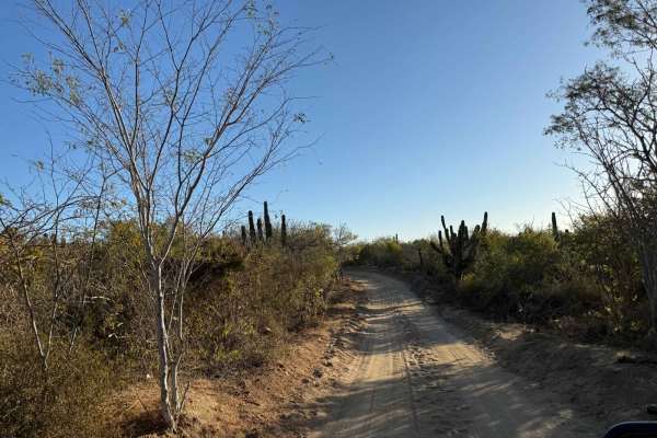 San Jose del Cabo 2