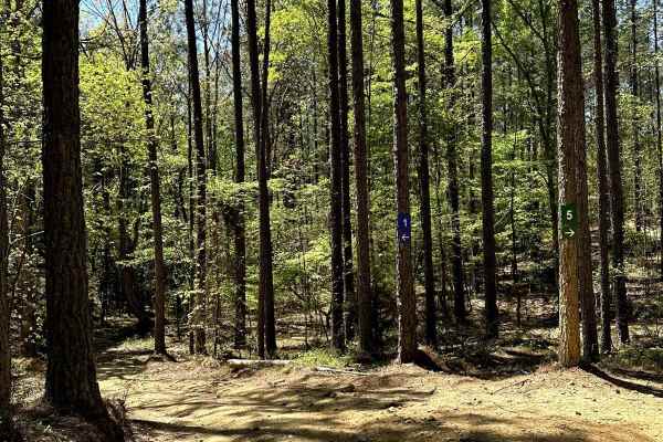 Trail 5