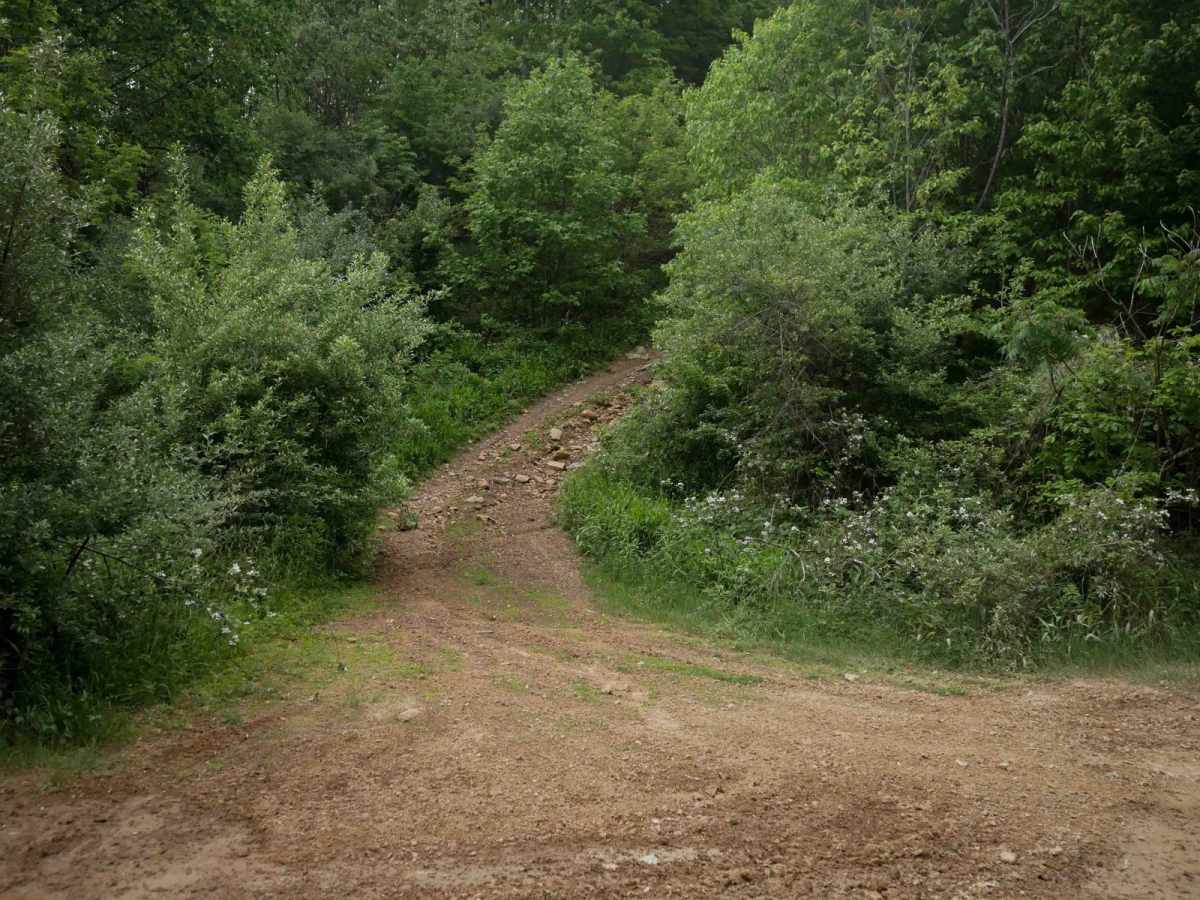 MV69 photo 6