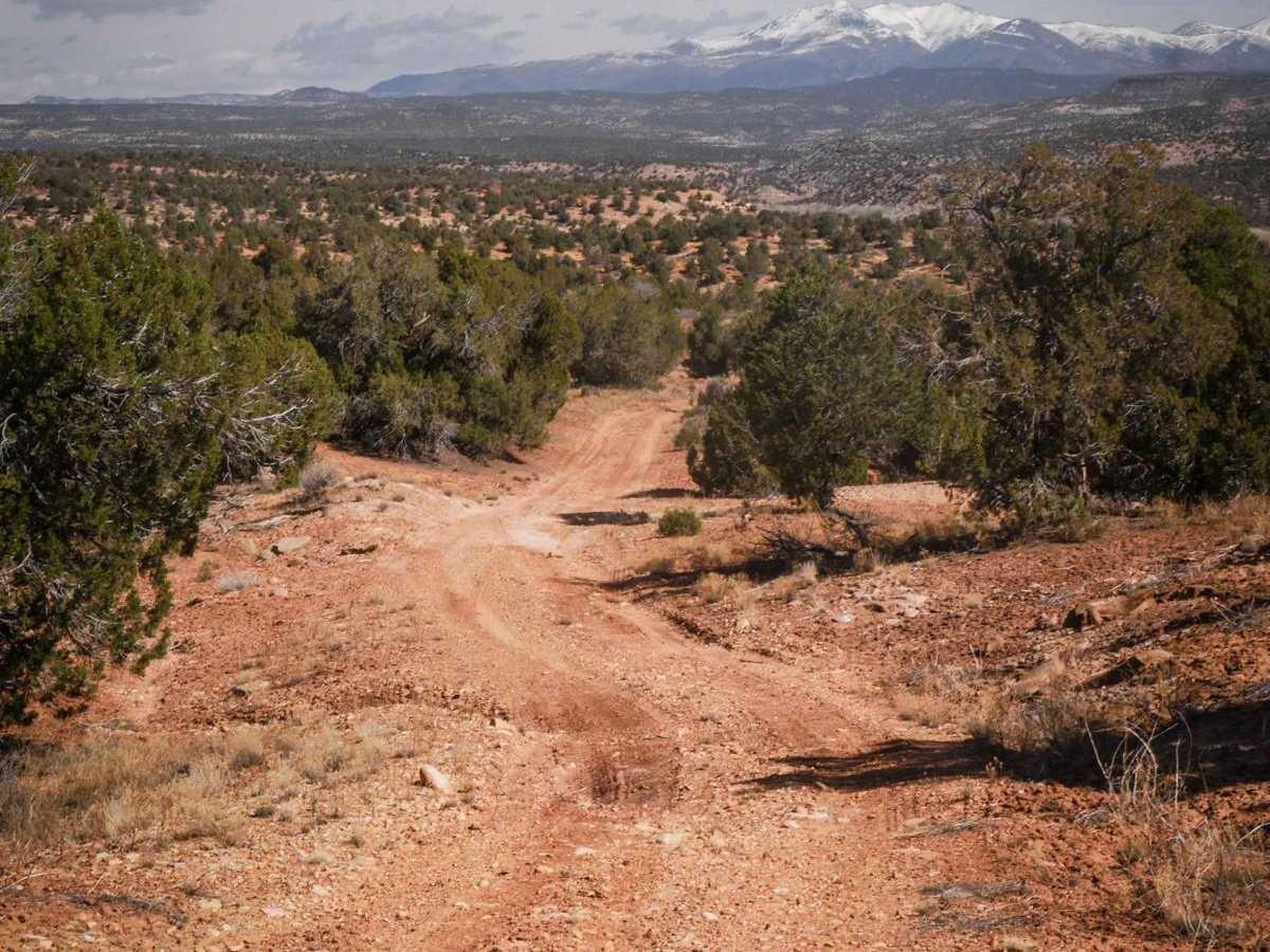 Trail 1 photo 2
