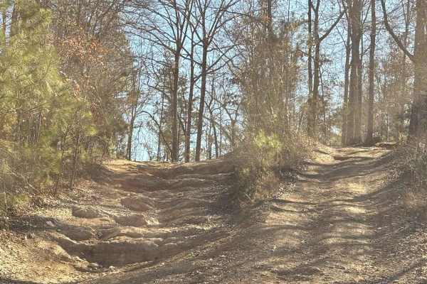 Creek Trail