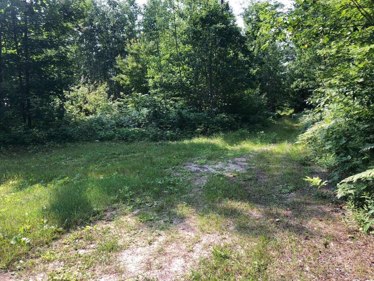 Friedrick Road photo 5