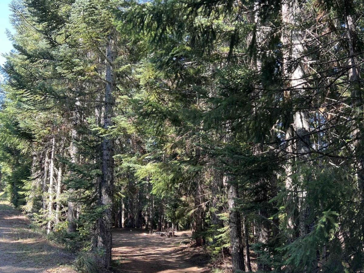 Fisher Point 1164 photo 5