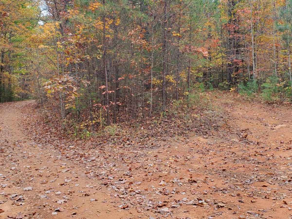 Moss Hill - FSR 28B photo 5