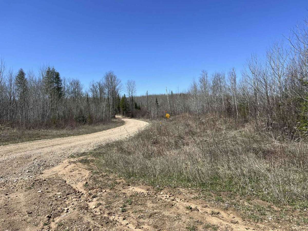 Black Creek Trail/ FR N3015 photo 2