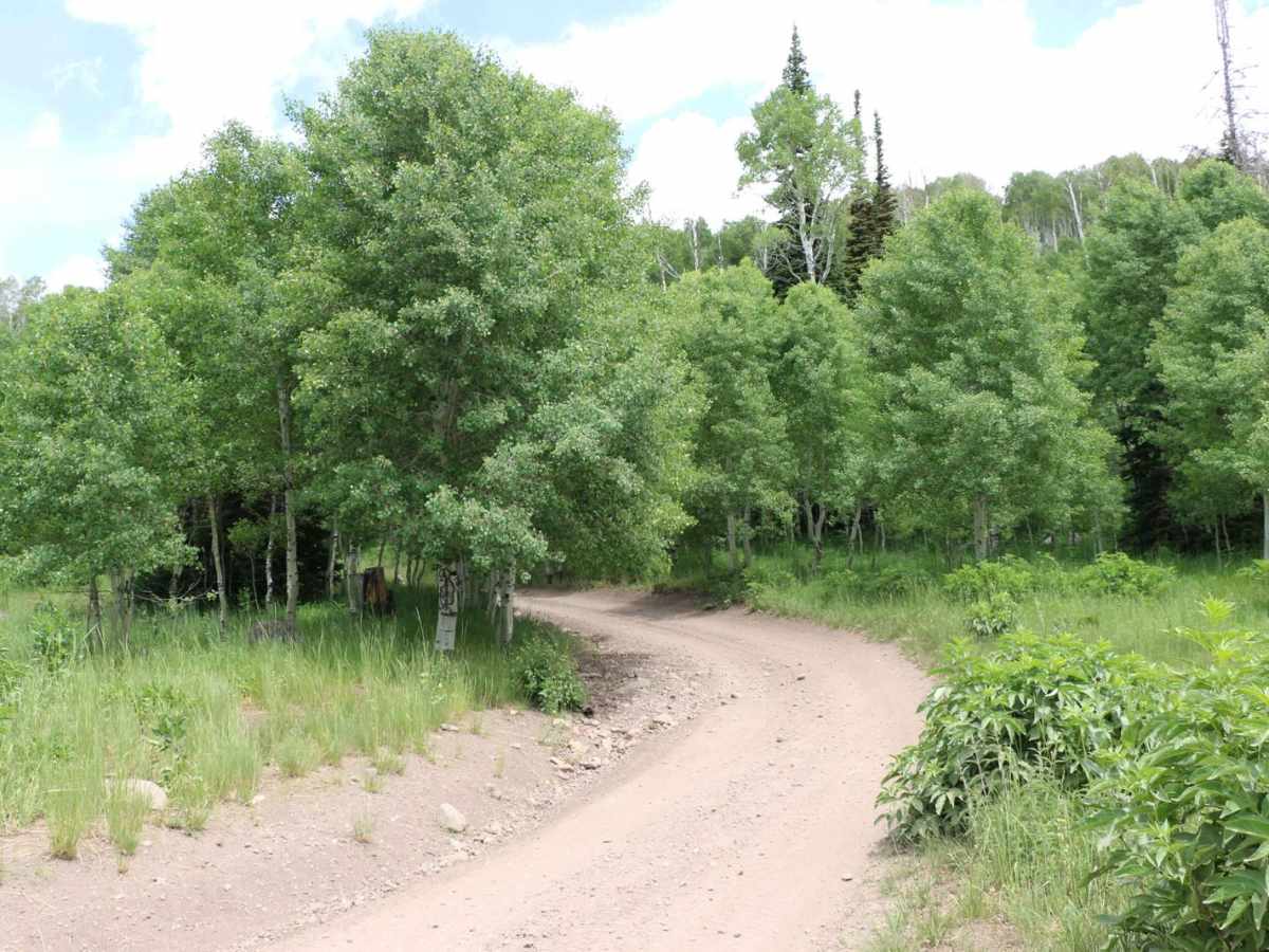Heber Mountain - FS 70096 photo 4