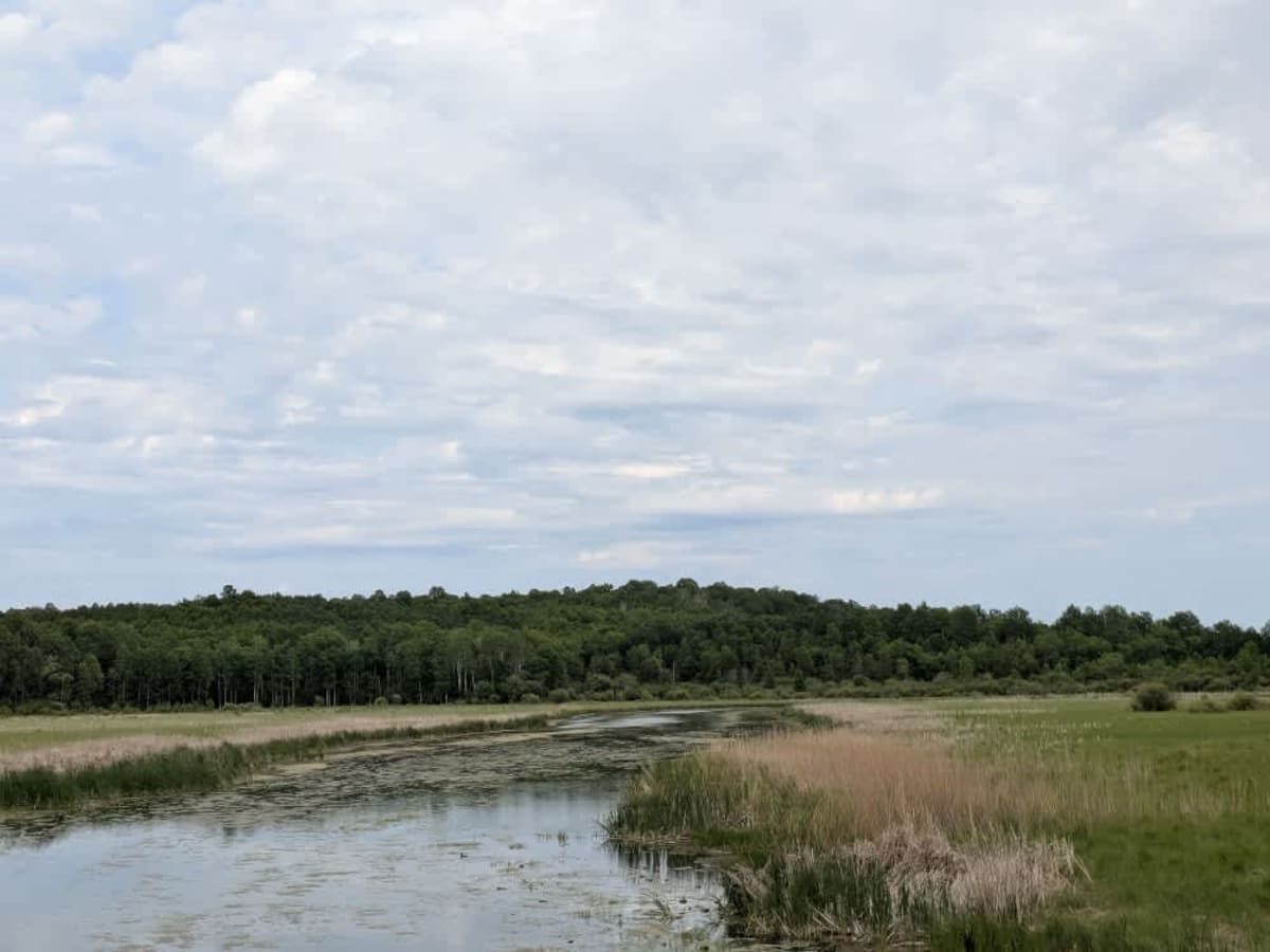 County Road 126 photo 2