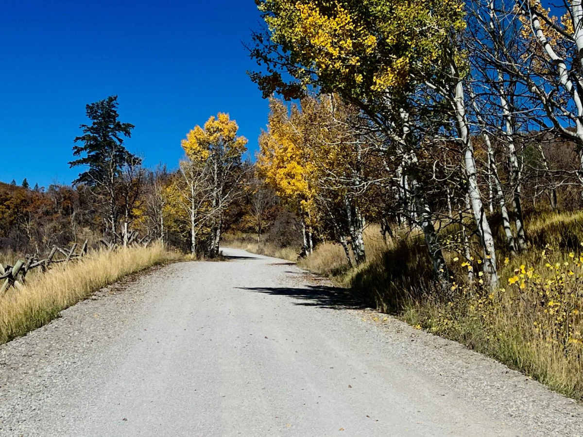Right Fork Hobble Creek Road photo 5