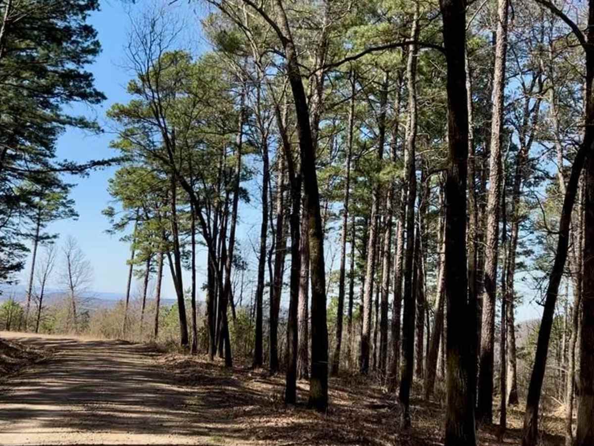 Woods Mountain Road photo 5