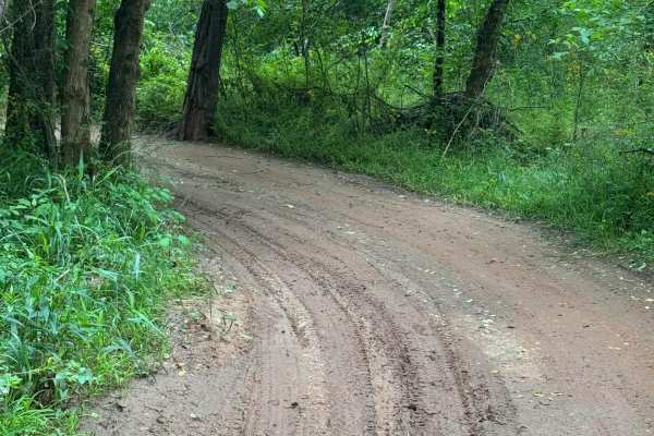 Campsite Road